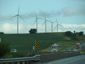 IMG_0252