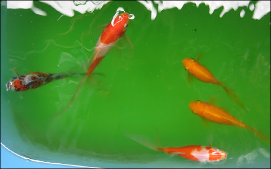 20120708-3