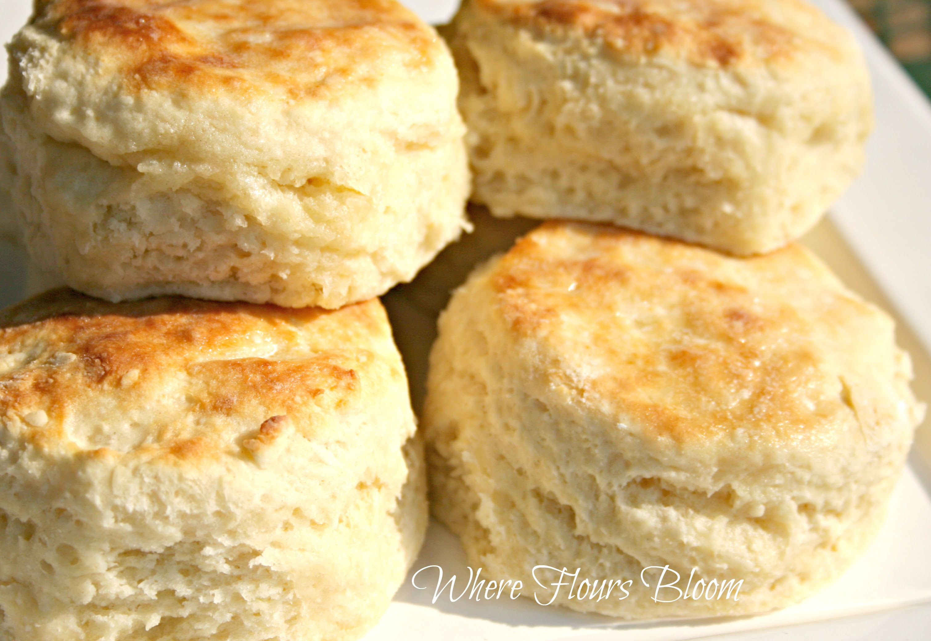 Butter: 151 ALL NEW HOW TO MAKE BUTTERMILK BISCUITS WITH SELF RISING FLOUR