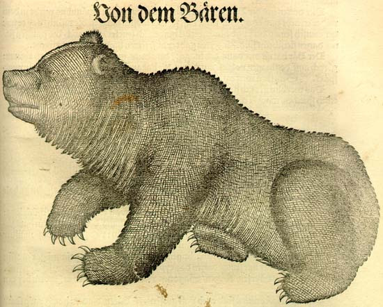 Conrad Gesner: Historia animalium. Medve