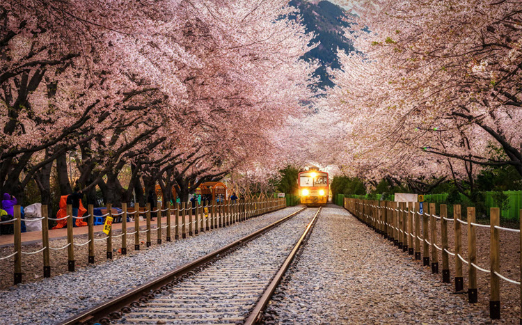 Beautiful Tram Station In South Korea