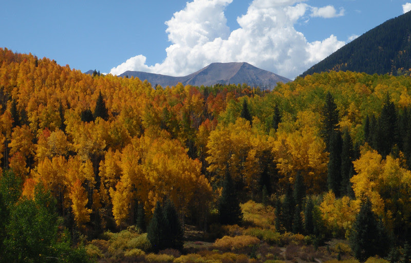 Strand Bonus Trail, Crested Butte, Colorado Strand Bonus Trail, Crested Butte, Colorado