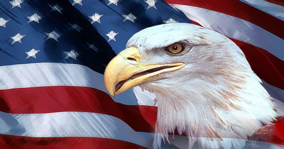 Badass American Eagle Wallpaper : Free Badass Eagle Cliparts Download