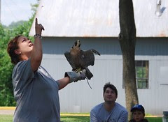Lucy checks out the flycatcher