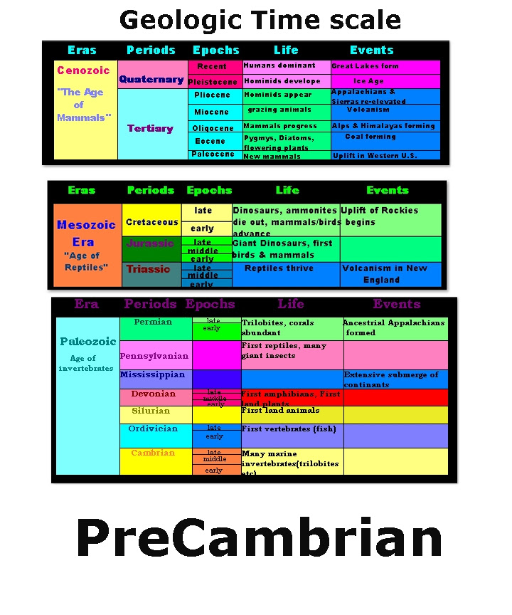 26 Geological Time Scale Worksheet - Worksheet Information