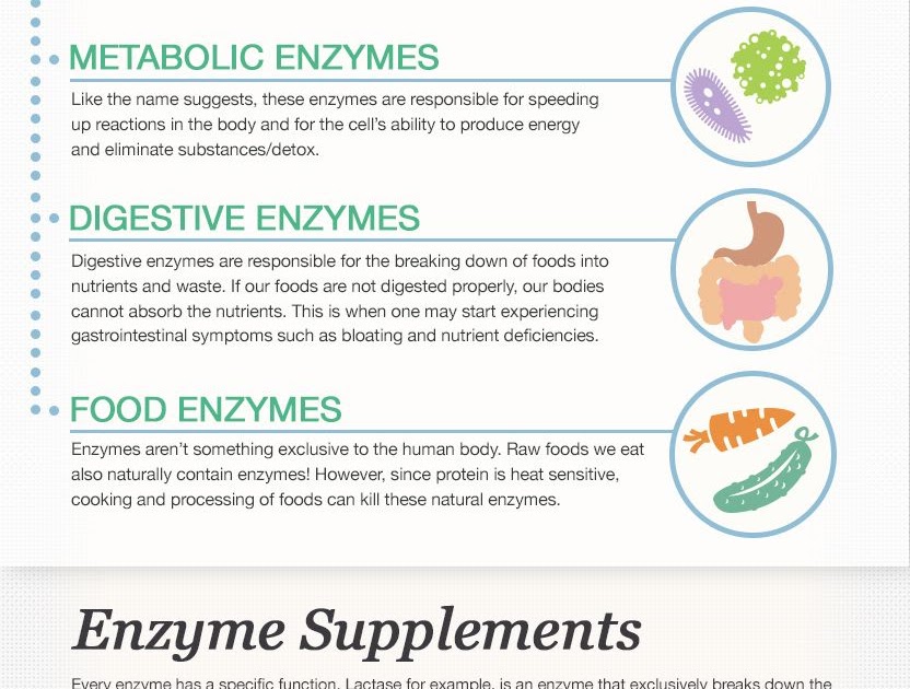 Benefits Of Taking Plant Enzymes health benefits