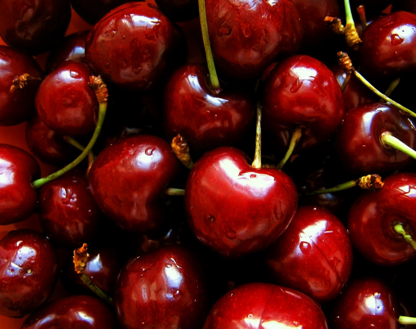 red juicy cherries red juicy cherries
