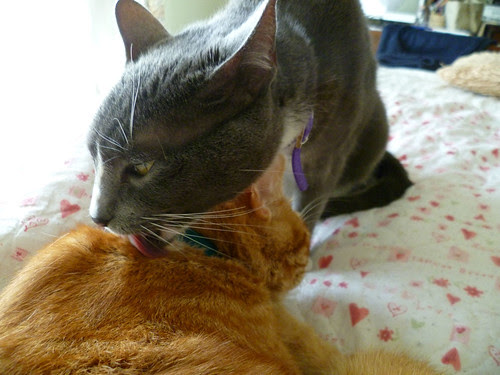Buster and Emma may 21 057