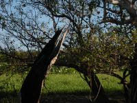 Free Image Hosting at www.ImageShack.us