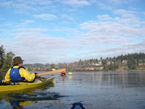 Paddling Through the Ice 3