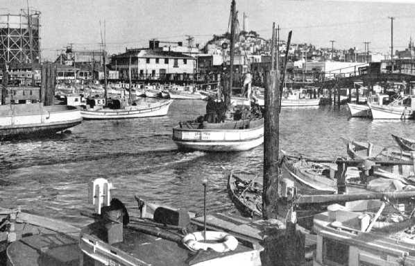 Fishermans Wharf San Francisco 1940