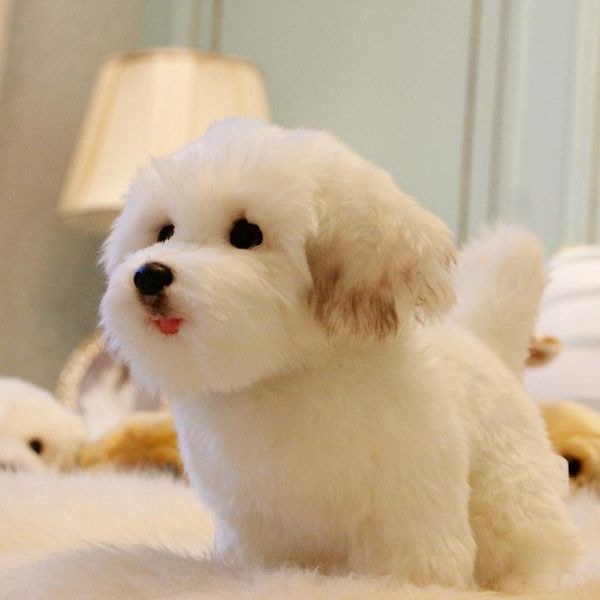 Hunde Baby Bilder Malvorlagen Gratis