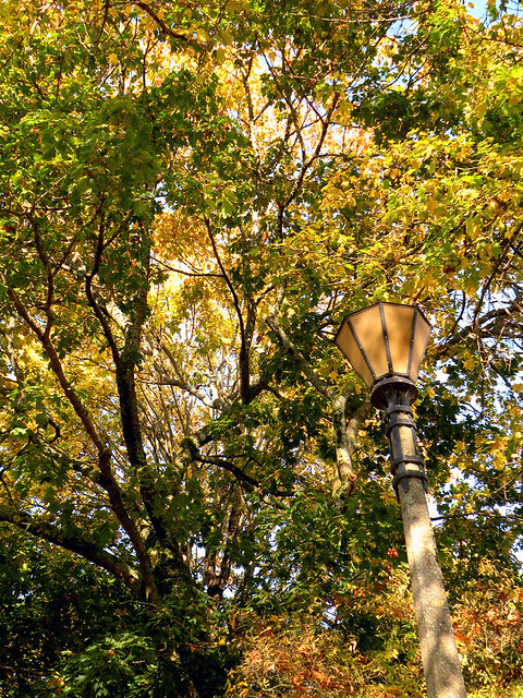 Autumn and the Park