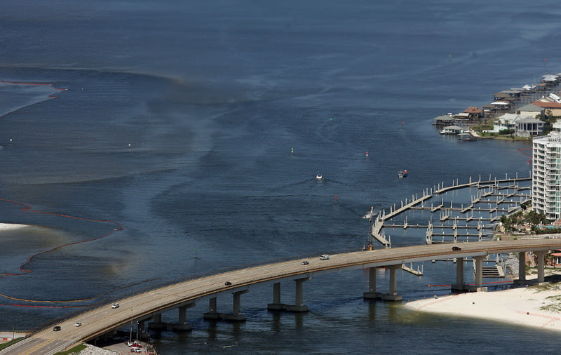 Scenes from the Gulf of Mexico