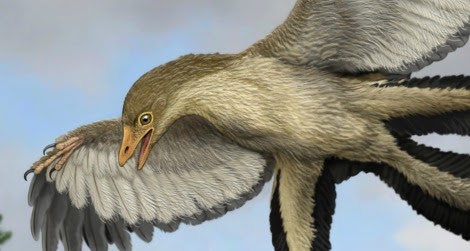 dinosaur with bat wings