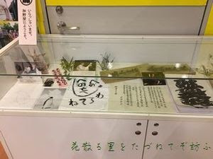 展示03.JPG