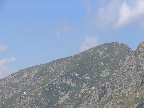 Il rifugio coda