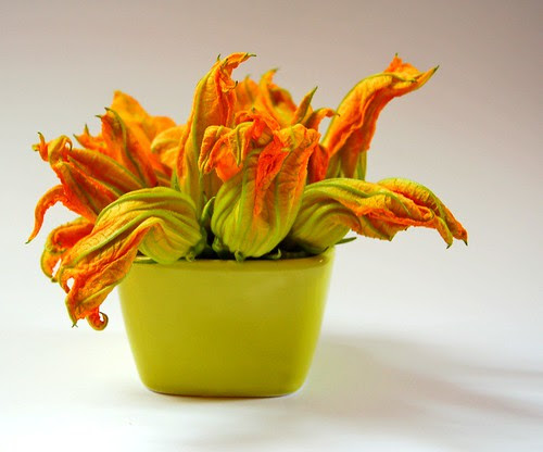 posy