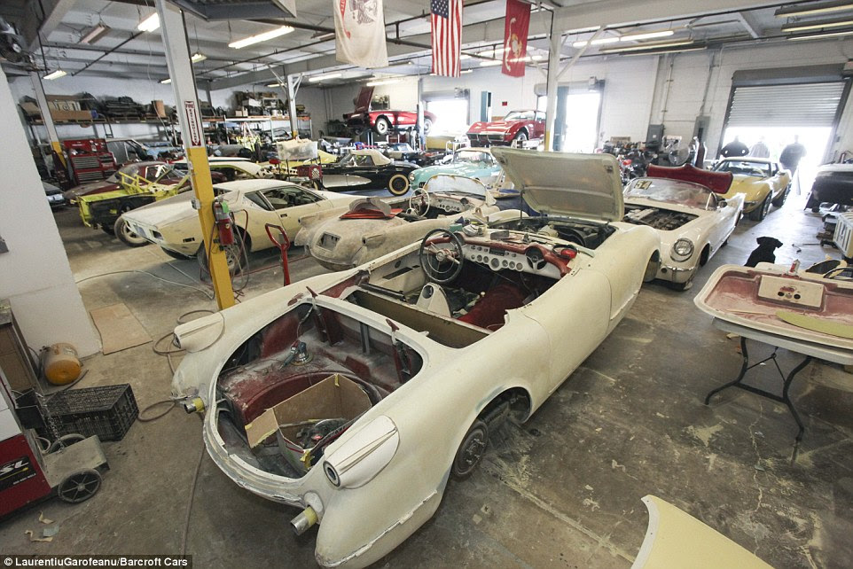Mr Mazzilli said one of the cars, a 1953 Corvette would undergo a full frame one restoration, meaning that the body would be removed from the chassis and 'everything will be refurbished and gone through'; the vehicle is expected to become the most valuable 1953 Corvette in the world