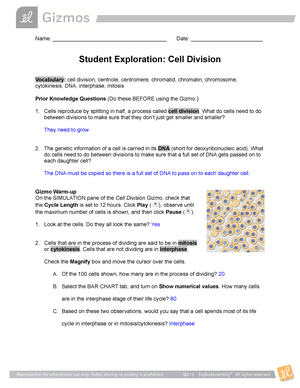 Gizmo Cell Division Answer Key - Meiosis Gizmo Answer Key Pdf Activity