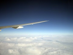 Flickr: wing