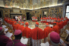 nuovi cardinali