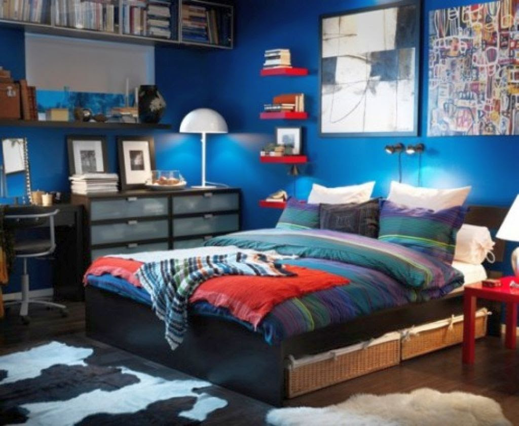 Unique Cheap Bedroom Ideas For Guys 