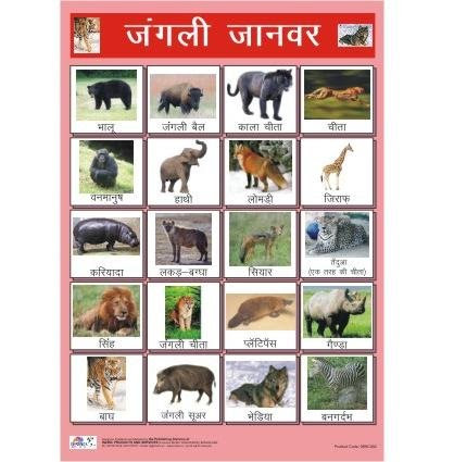 Pet Animals Meaning In Hindi Animals Name In Hindi English (जानवरों े