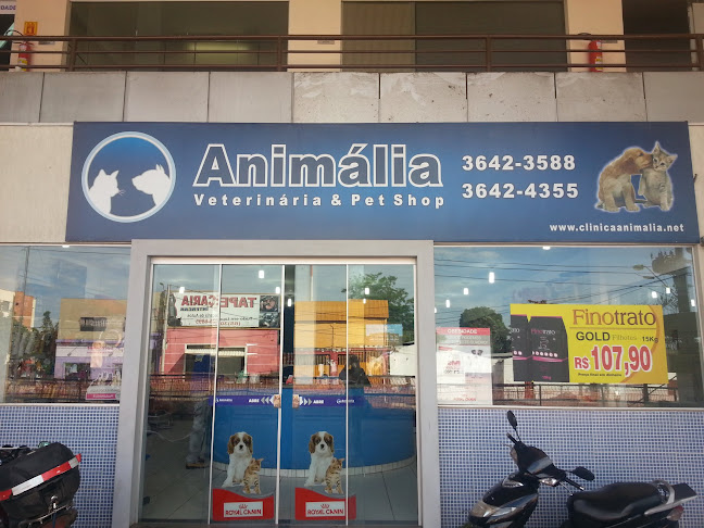 Clínica Animália Veterinária 24H e petshop - Cuiabá