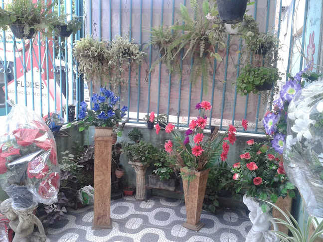 C & L Floricultura - Salvador
