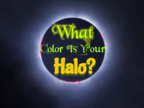 http://cdn.playbuzz.com/cdn/94f438c7-39df-4239-bdd6-1092b3291a48/a14e169b-8710-4757-8574-634b54acb2a2_560_420.jpg