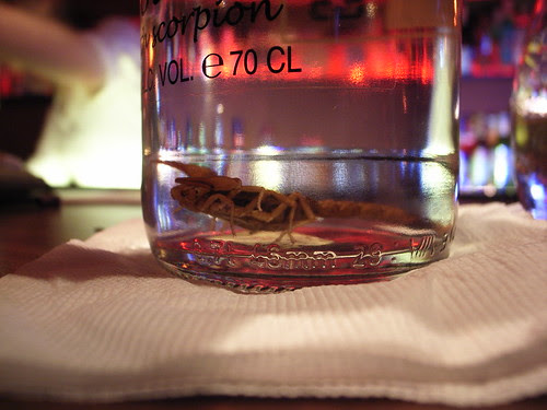 070,SKORPPIO Vodka with scorpion
