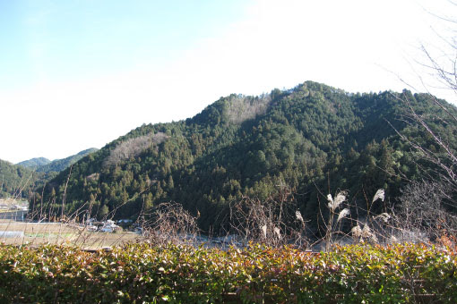 温泉