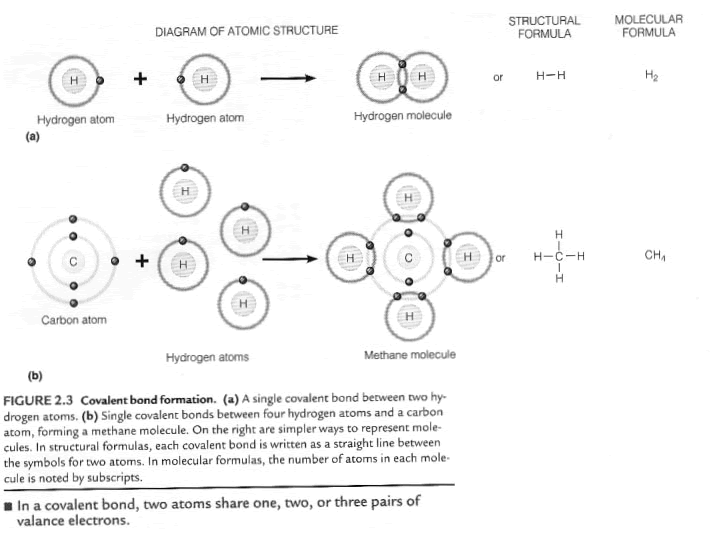 Covalent Bonding Worksheet - KIDDO-ANDTHINGS
