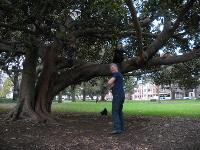 Free Image Hosting at www.ImageShack.us