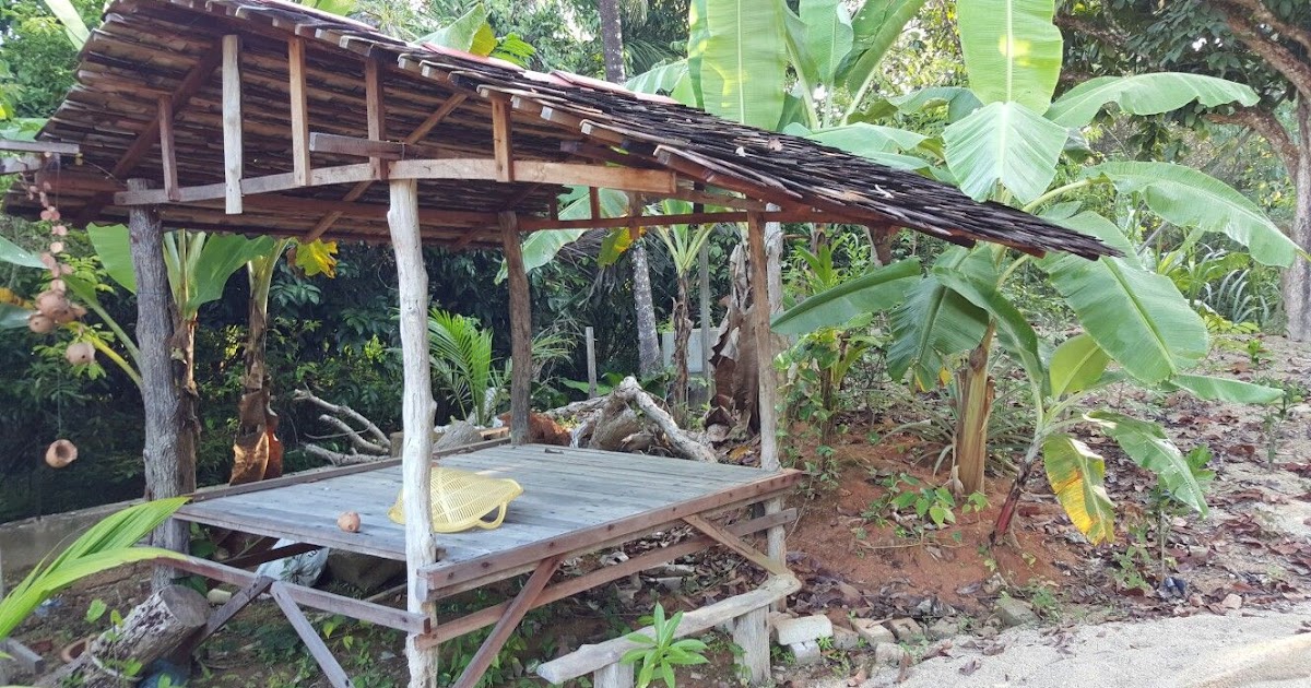 Paling Baru Gambar Pondok Untuk Di Kebun Sarahannie Beauty