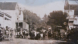 Cattledrive 2