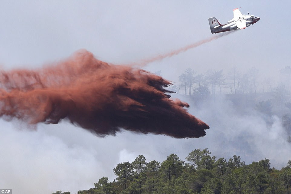 A firefighting plane drops fire retardant over a forest near La Londe-les-Maures on the French Riviera this morning