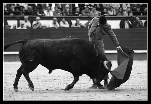 Morante. Natural