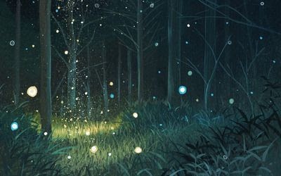 Scenery Anime Forest Background Night - Drew Blue31