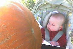 Oh my god, that pumpkin's going to crush me!