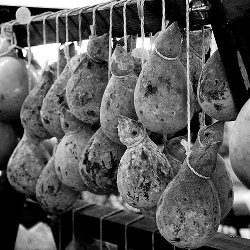 caciocavallo© by Haalo