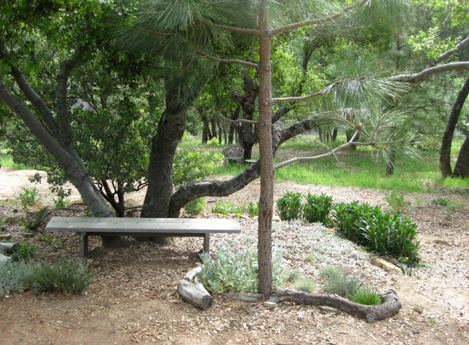 How to build simple garden benches for free | Flea Market Gardening