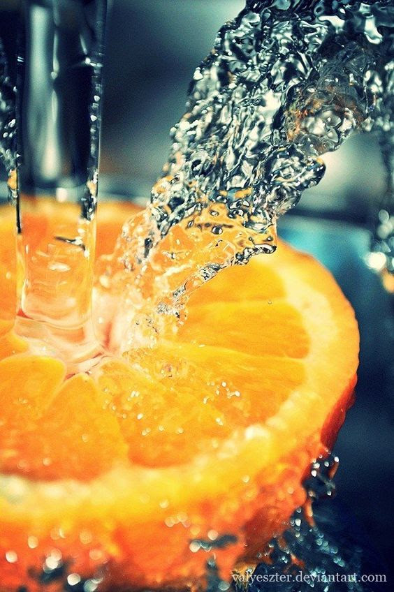 macro photography 27