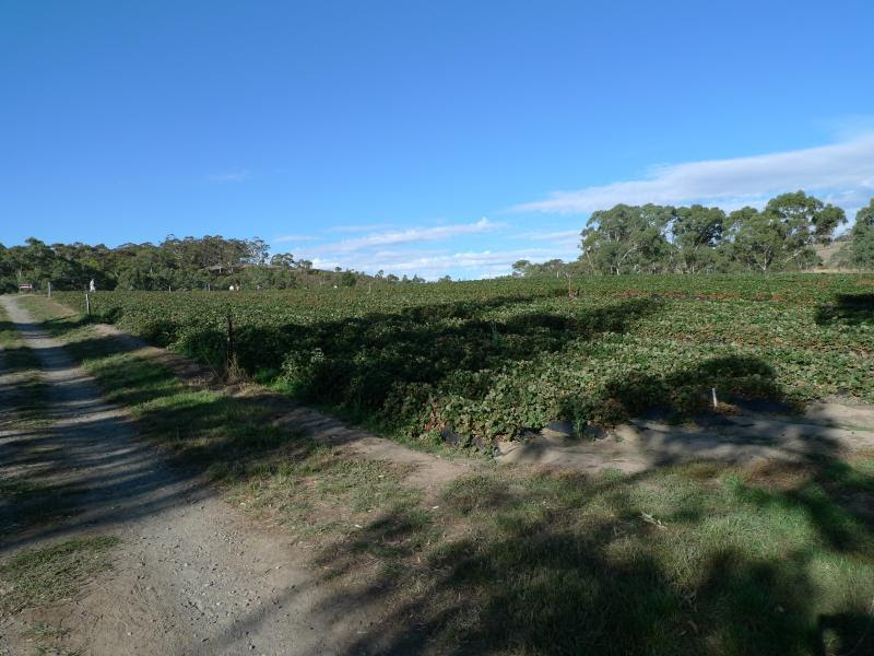 P1050210