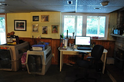 August 1 -finally moved into the basement today -2