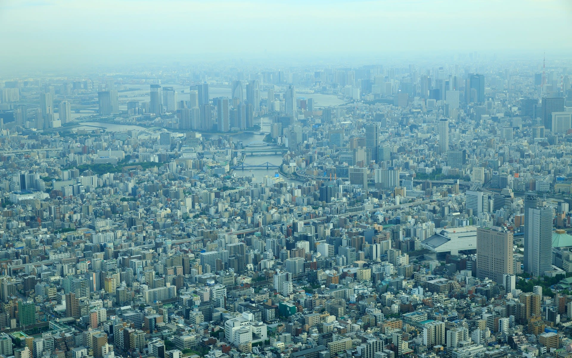 すべての美しい花の画像 100 Epic Best東京 スカイ ツリー 壁紙