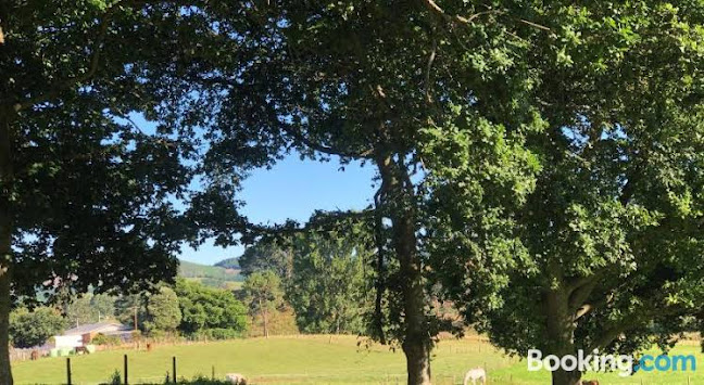 Rotorua Farm Stay Open Times