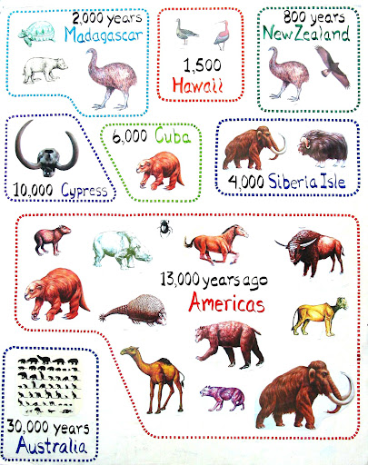 Eutherian Mammals Examples - Pets Lovers