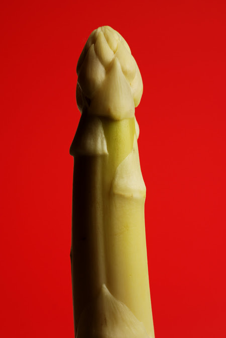 white asparagus© by Haalo